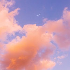 Meet your Posher, Nicholas